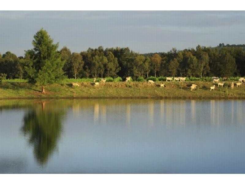 135 Fordwich Road, Broke NSW 2330