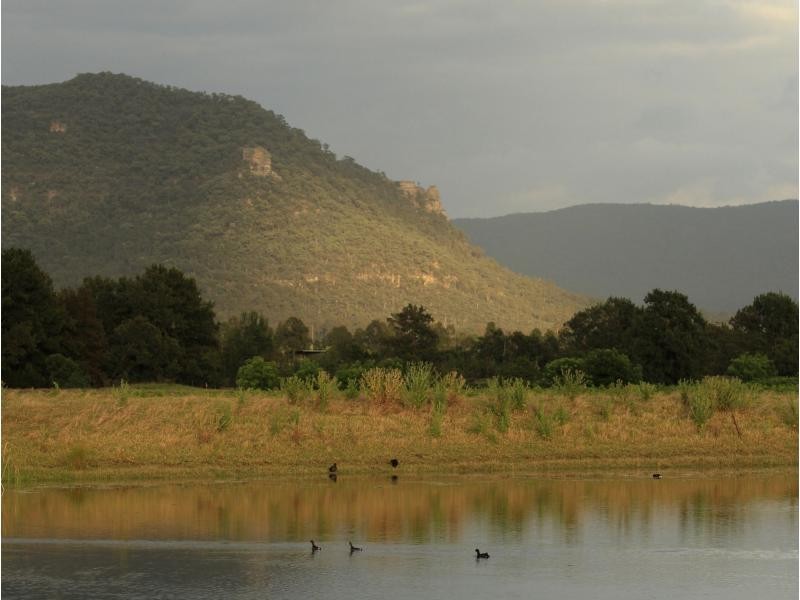 135 Fordwich Road, Broke NSW 2330