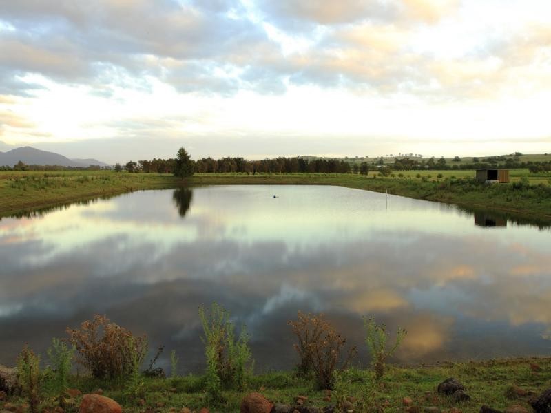 135 Fordwich Road, Broke NSW 2330