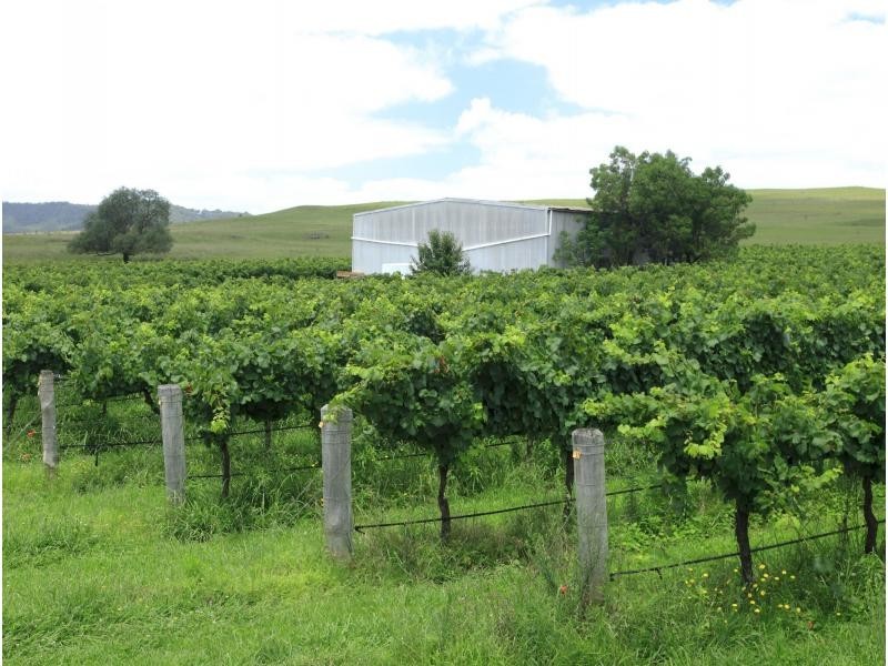 135 Fordwich Road, Broke NSW 2330