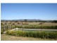 251 Talga Road, Lovedale NSW 2325