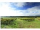 Pokolbin NSW 2320