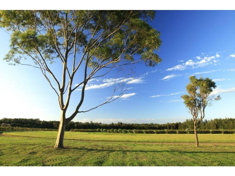 Pokolbin NSW 2320