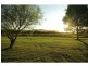 Pokolbin NSW 2320