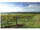 Pokolbin NSW 2320