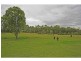 22 Lindsay Road, North Rothbury NSW 2335