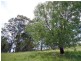 Pokolbin NSW 2320