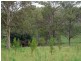 Pokolbin NSW 2320