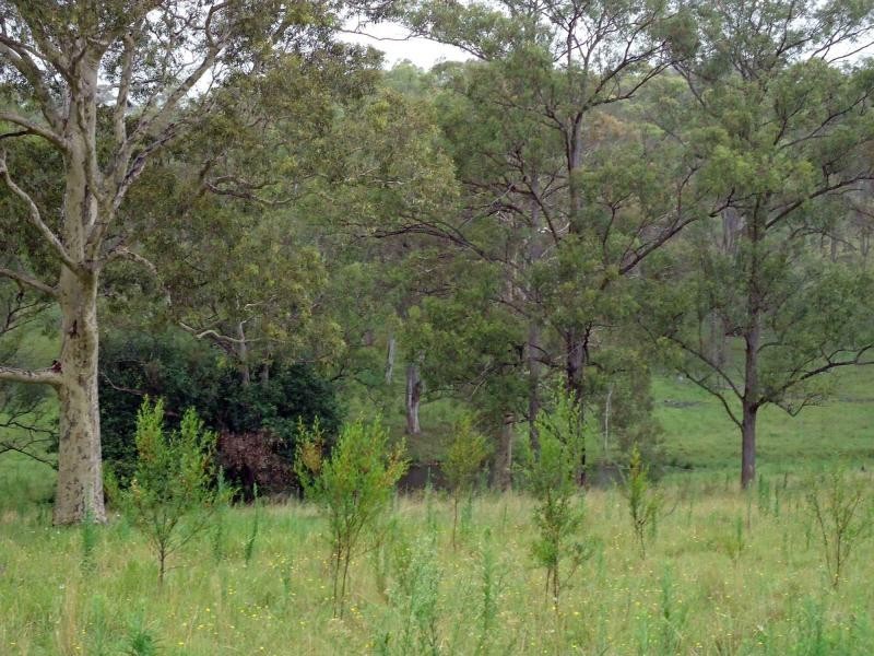 Pokolbin NSW 2320