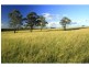 252 Deasys Road, Pokolbin NSW 2320