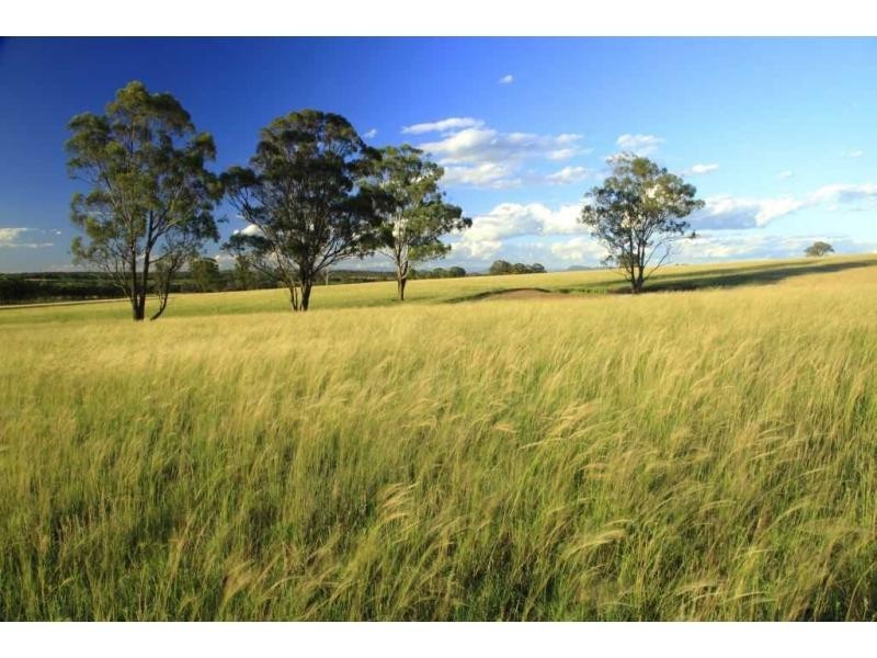252 Deasys Road, Pokolbin NSW 2320