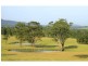 252 Deasys Road, Pokolbin NSW 2320