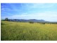 252 Deasys Road, Pokolbin NSW 2320