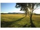252 Deasys Road, Pokolbin NSW 2320