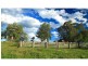 252 Deasys Road, Pokolbin NSW 2320