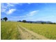 252 Deasys Road, Pokolbin NSW 2320