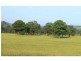 252 Deasys Road, Pokolbin NSW 2320