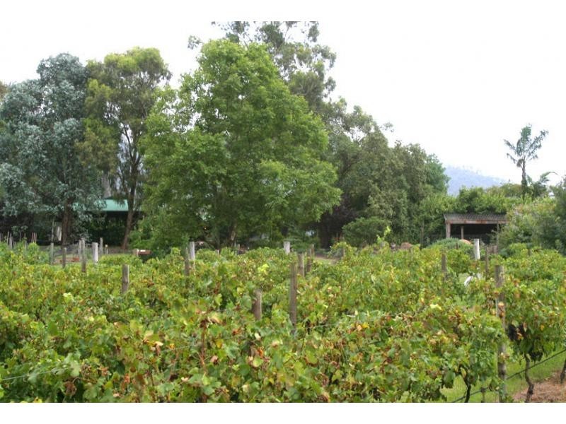 558 Wollombi Road, Broke NSW 2330