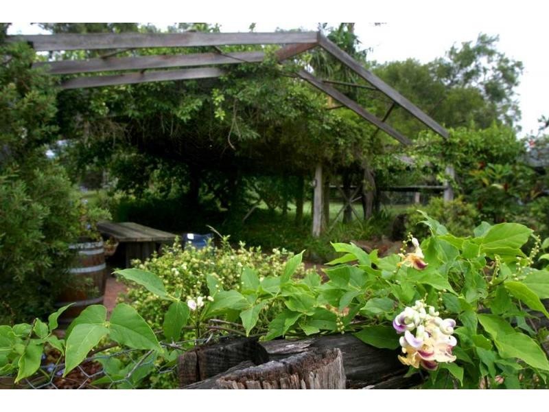 558 Wollombi Road, Broke NSW 2330