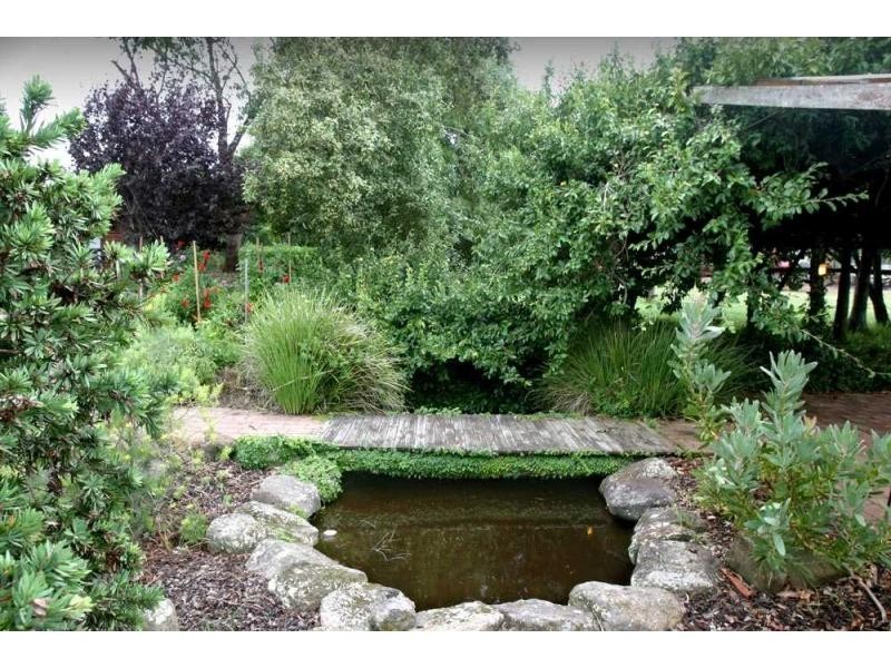 558 Wollombi Road, Broke NSW 2330