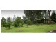 558 Wollombi Road, Broke NSW 2330