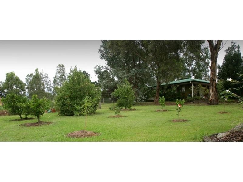 558 Wollombi Road, Broke NSW 2330