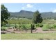 558 Wollombi Road, Broke NSW 2330