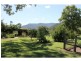 558 Wollombi Road, Broke NSW 2330