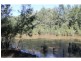 558 Wollombi Road, Broke NSW 2330