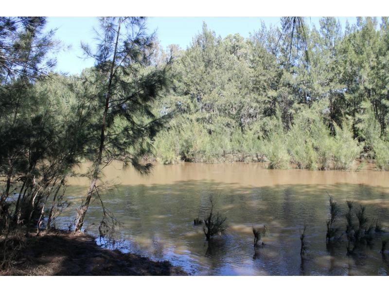 558 Wollombi Road, Broke NSW 2330