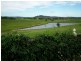 362 Luskintyre Road, Luskintyre NSW 2321