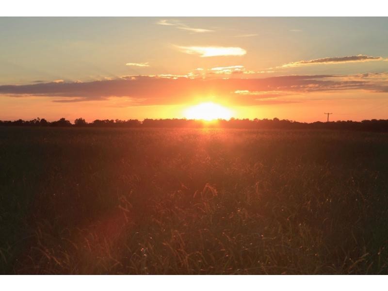 626 (proposed Lot 2) Raymond Terrace Road, Thornton NSW 2322