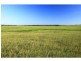 626 (proposed Lot 2) Raymond Terrace Road, Thornton NSW 2322
