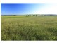 626 (proposed Lot 2) Raymond Terrace Road, Thornton NSW 2322