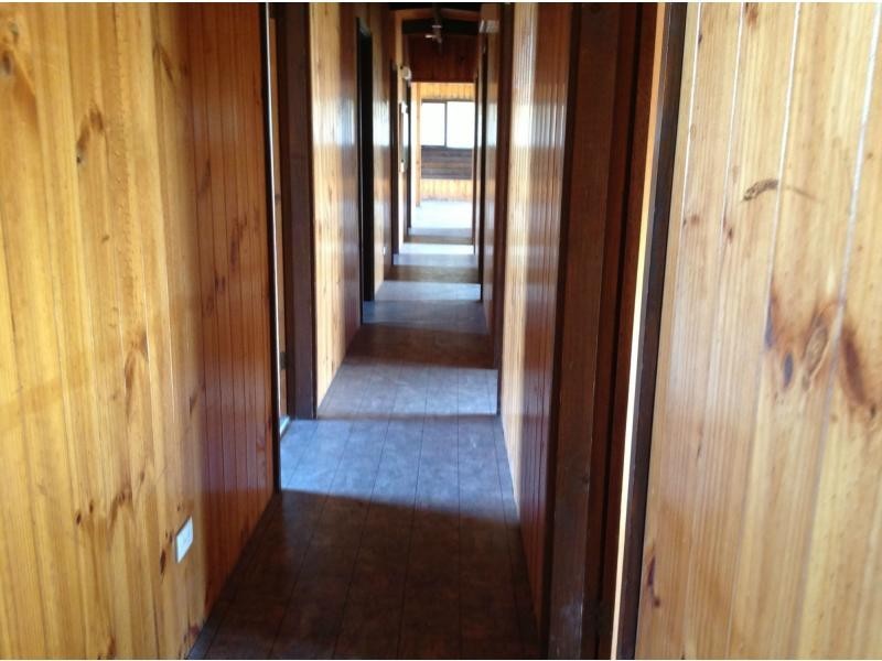 135 Windermere Road, Lochinvar NSW 2321