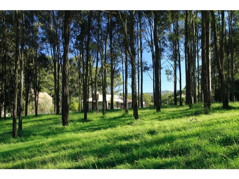 290 Old North Road, Pokolbin NSW 2320