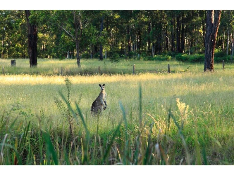 290 Old North Road, Pokolbin NSW 2320