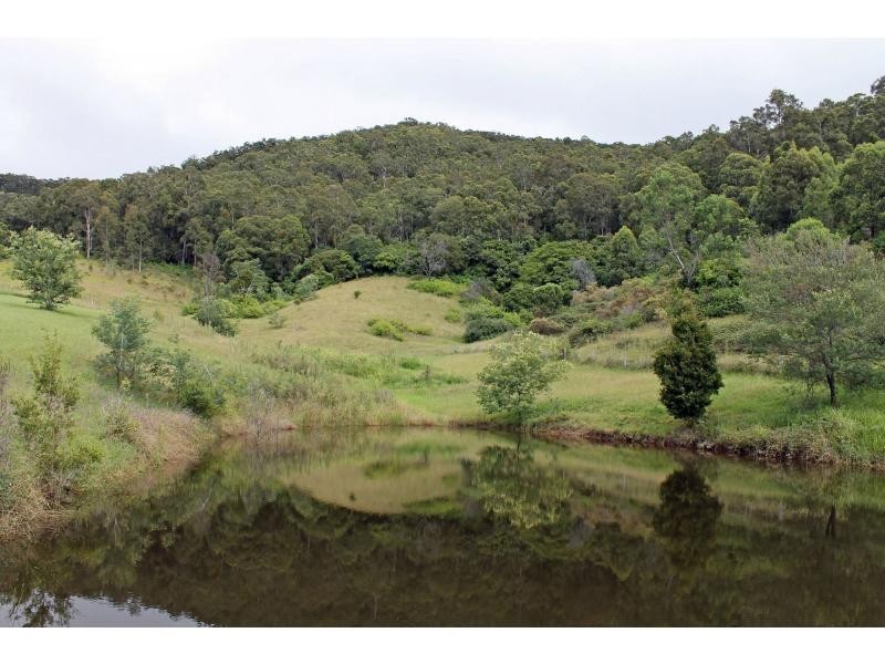 10 Pyne Way, Mount View NSW 2325