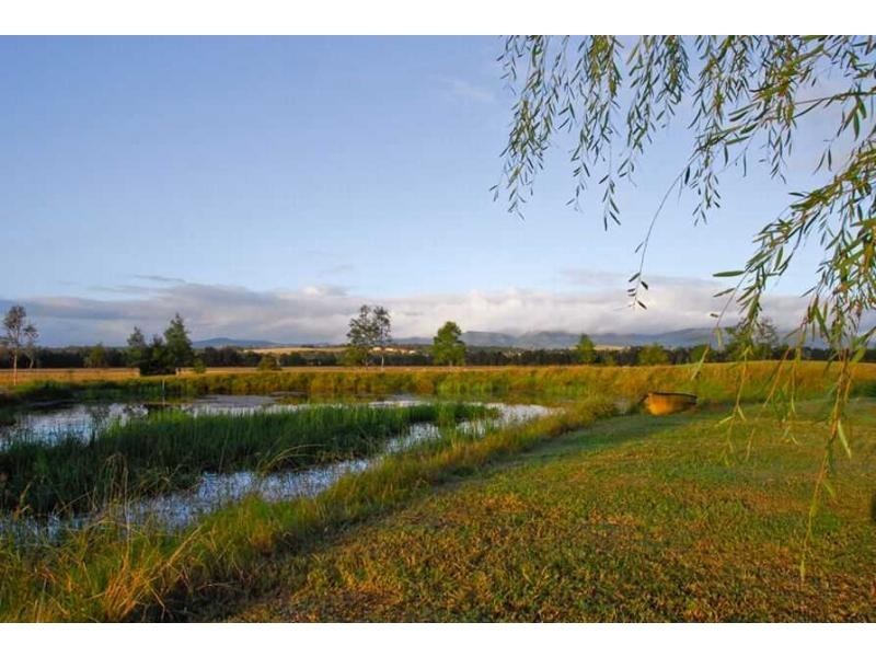 497 Talga Road, Lovedale NSW 2325