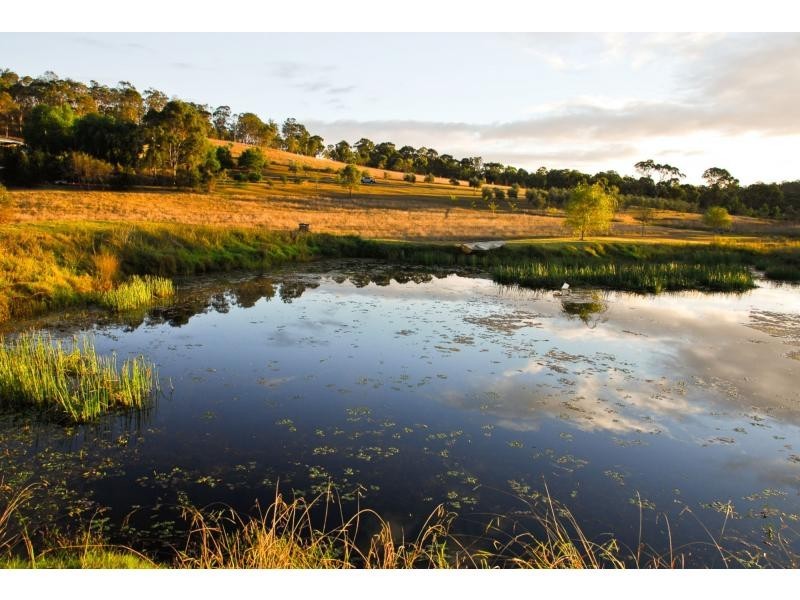 497 Talga Road, Lovedale NSW 2325