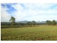 2320 Broke Road, Pokolbin NSW 2320