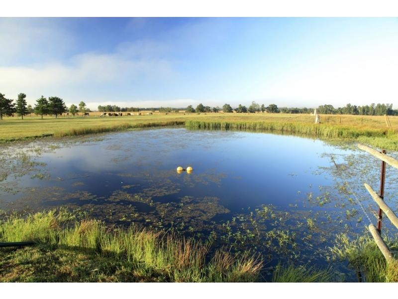 457 Talga Road, Lovedale NSW 2325