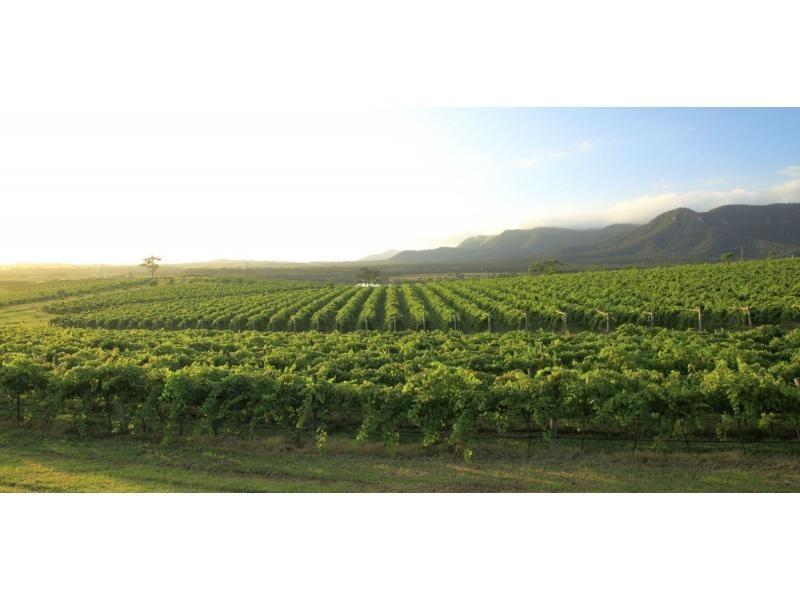 Lot 1 Mistletoe Lane, Pokolbin NSW 2320