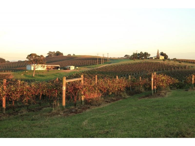 Lot 1 Mistletoe Lane, Pokolbin NSW 2320