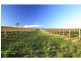 Lot 1 Mistletoe Lane, Pokolbin NSW 2320