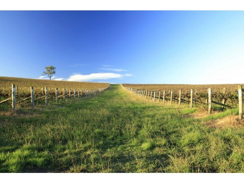 Lot 1 Mistletoe Lane, Pokolbin NSW 2320