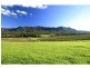 Lot 1 Mistletoe Lane, Pokolbin NSW 2320