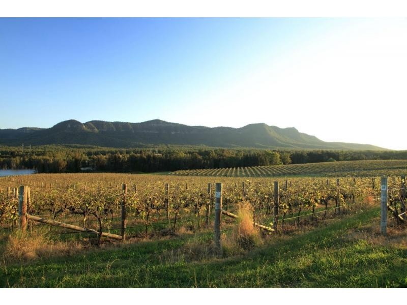 Lot 1 Mistletoe Lane, Pokolbin NSW 2320