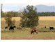 Lot 14 Old North Road, Pokolbin NSW 2320