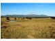 Lot 14 Old North Road, Pokolbin NSW 2320
